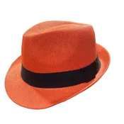 Roll Up Brim Straw Fedora Hat