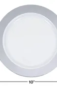 10.25" Shimmering Silver  Rim Plastic Plates (10 counts)