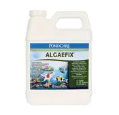 Algae Control AlgaeFIX Algaeside