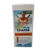 Eco Pur Charge Filter PMA-EPR