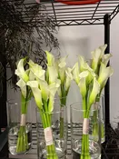 Wedding Retainer — Bloom Brats Botanical