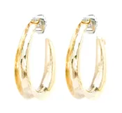 Anjy Aero Bronze Earrings