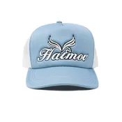 Blue & White Trucker Hat
