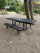 #1 Picnic Table