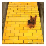 Yellow Brick Road