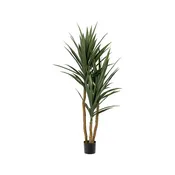 4' Yucca Tree Green