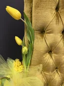Indoor Plants — Bloom Brats Botanical