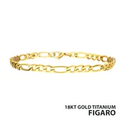 Gold Titanium Figaro Anklet