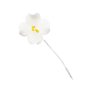 125- 1.25' Browallia - White