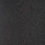 Charcoal