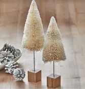 BOTTLE BRUSH TREES SMALL — LADY DI’S
