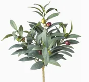15" Olive Bush Stem