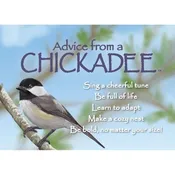 Advice from a Chickadee Magnet