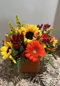 Sunny splendor
