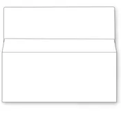 Bangtail Bank-by-Mail Envelope with 1-1/8 inch seal flap