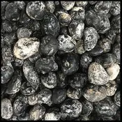 Apache Tears Tumbled Stones