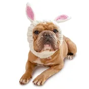 Bunny Rabbit Zoo Snood