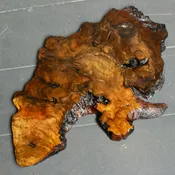 Oxidized Rhododendron Jita #1 — Austin Heitzman Furniture