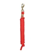 10' Poly Lead ~ Solids
