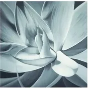 Agave Art