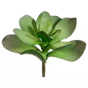 11" Kalanchoe Paddle Stem - Green