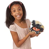 091 Clam Puppet