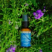 Clarifying Calendula Moisturizer with Yarrow + Sea Buckthorn, 1 fl oz