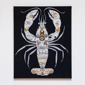 Albino Lobster