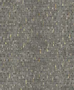 Bark — Palmer Todd