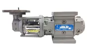 15C175CD Roots Gas Meter