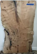 72″ x 48″ Maple Slab