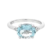Aquamarine & Diamond Fashion Ring in White Gold (200-01344)