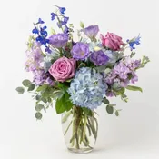Blue And Violet Arrangement