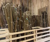 Bundles: Sculpture Quality Dry Rods 5'-6' — LIVING WILLOW FARM