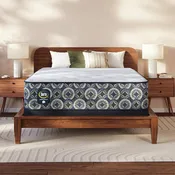 Cascade Canyon - Plush | Perfect Sleeper | Serta