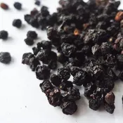 Elderberries Organic 1oz