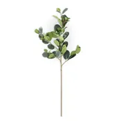 36 Inch Rubber Plant Spray