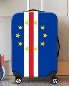 Cv Suitcase