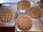 Fresh-Baked Apple Pie for Pets — Spike's Treats