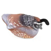 Audubon Birds-California Quail