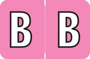 AmeriFile ColorBrite Alpha Labels - Letter B - Pink - 1 1/2 W x 1 H - Rolls of 500