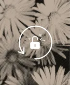 Pay now to unlock free returns