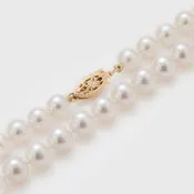 Akoya Pearl Necklace