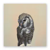 10 x 10 Owl Wings on Wood Decor