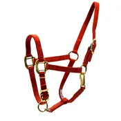 3/4" Adjustable Nylon Horse Chin Halter with Throat Snap with Brass Hardware