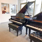 1927 Steinway & Sons M Traditional Grand #254943