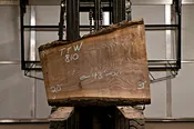 Black Walnut Live Edge Table Top | 2-1/8" x 31" x 43"