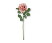 25 Inch Coral Real Touch Duchess Rose Stem