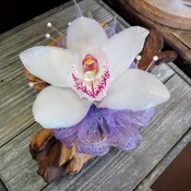 Cymbidium Orchid Corsage