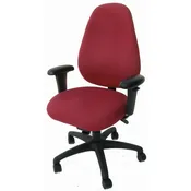 Legends Basic Ergonomic Chair
